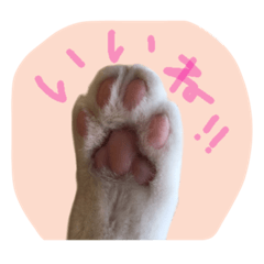 [LINEスタンプ] 我が家のペッツ