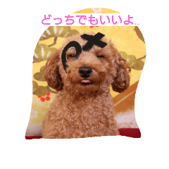 [LINEスタンプ] I LOVE MERU 