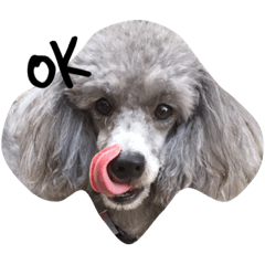 [LINEスタンプ] もずく君です