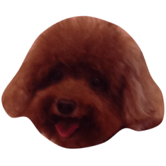 [LINEスタンプ] My sweet momo 2