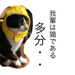 [LINEスタンプ] ちじゅ毛