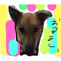 [LINEスタンプ] ぼく、いっちゃん！