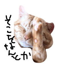 [LINEスタンプ] サバブリ