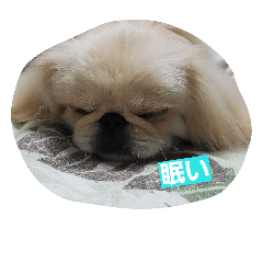 [LINEスタンプ] peki  marri