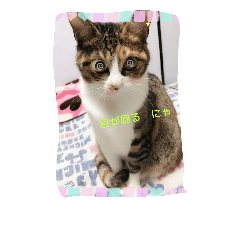 [LINEスタンプ] catFarmer