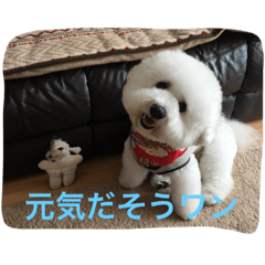 [LINEスタンプ] ひとことメッセージ 犬バージョン part1