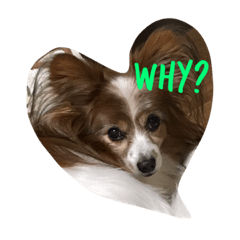 [LINEスタンプ] 僕は人間だよ2