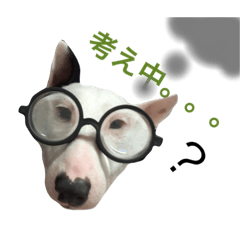[LINEスタンプ] 仲良し3兄弟犬