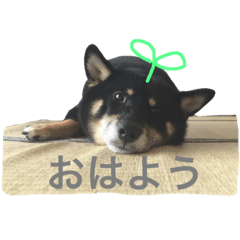 [LINEスタンプ] こまめ122