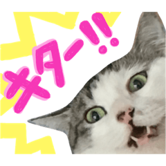 [LINEスタンプ] スズセリミジカ2