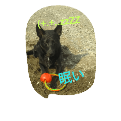 [LINEスタンプ] AustralianKelpie