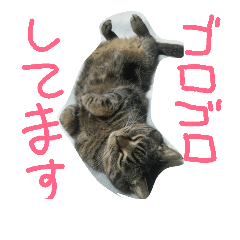 [LINEスタンプ] ブランカじぃさん