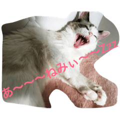 [LINEスタンプ] KOHARU go go！！1