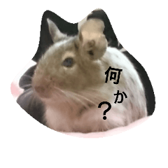 [LINEスタンプ] デグー 言葉(挨拶)