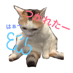 [LINEスタンプ] みーちゃんと仲間達2