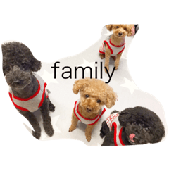 [LINEスタンプ] 岩田家の愛犬