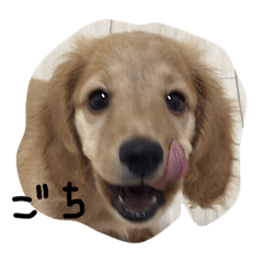 [LINEスタンプ] ユイトのスタンプ