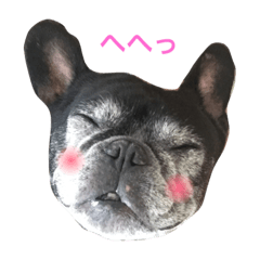 [LINEスタンプ] クロスケのふがふがスタンプ1