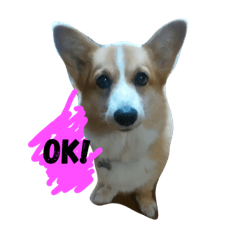 [LINEスタンプ] MJふく