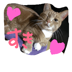 [LINEスタンプ] 日本 猫