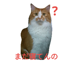 [LINEスタンプ] Tweet tweets