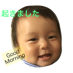 [LINEスタンプ] 隼たん