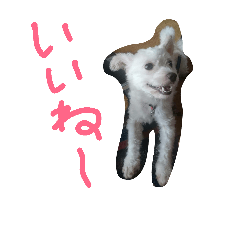 [LINEスタンプ] ピッピの森の仲間達