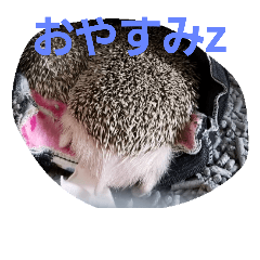[LINEスタンプ] ネズミ？？