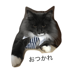[LINEスタンプ] Zizi-san stamp