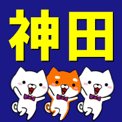 [LINEスタンプ] 超★神田(かんだ・かみた・かみだ・かなだ)