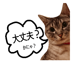 [LINEスタンプ] たけちよのねこのひなちゃん パート2