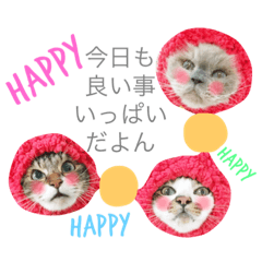 [LINEスタンプ] はぴすた