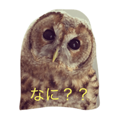 [LINEスタンプ] smilenico