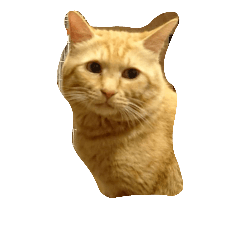 [LINEスタンプ] jijitotorao