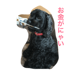 [LINEスタンプ] ぷっつんプリンちゃんと愉快な仲間たち 