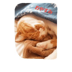 [LINEスタンプ] nekotonokurashi 2
