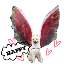 [LINEスタンプ] ポメラニアンラルフ