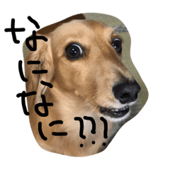 [LINEスタンプ] ボボボボボボボス