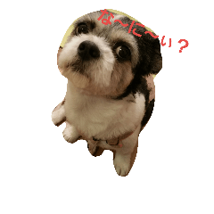 [LINEスタンプ] wankomamire