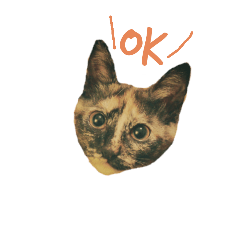 [LINEスタンプ] もくとりーのスタンプ fetchpriority=high