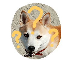 [LINEスタンプ] cocotty 