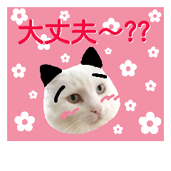 [LINEスタンプ] わんにゃんこ2