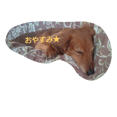 [LINEスタンプ] ほぼ寝てる