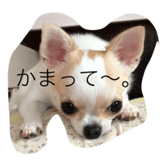 [LINEスタンプ] スムチーもみ