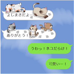 [LINEスタンプ] 【よしまさ】猫だらけの吹き出し