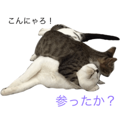 [LINEスタンプ] 友人とか