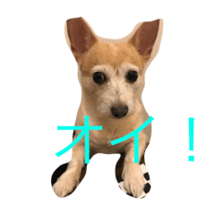 [LINEスタンプ] ミルクチップモカ