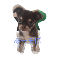 [LINEスタンプ] 3匹の子豚ちゃん♡