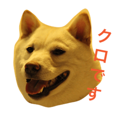 [LINEスタンプ] クロさんの呟き2