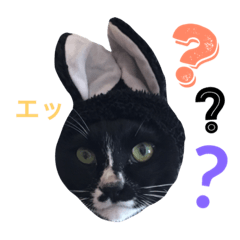 [LINEスタンプ] よく使うVer.2